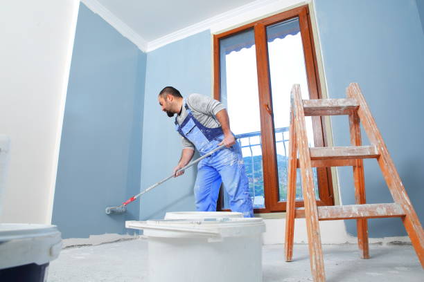 Best Black Mold Removal  in Double Springs, AL