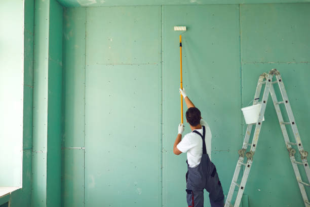 Best Mold Odor Removal Services  in Double Springs, AL