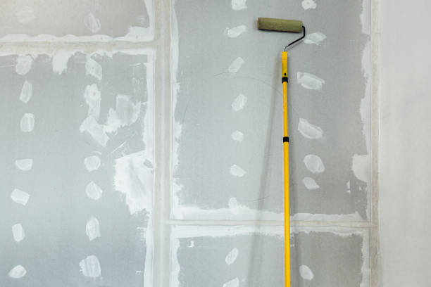 Best Dehumidification Services  in Double Springs, AL