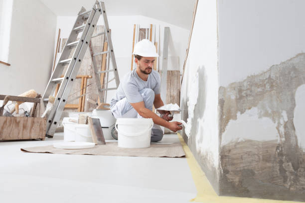 Best Mold Damage Restoration  in Double Springs, AL
