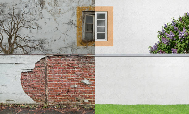 Best Post-Construction Mold Inspection  in Double Springs, AL