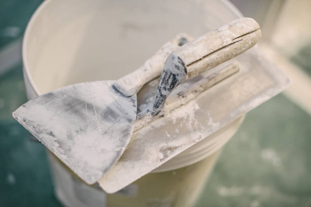 Best Basement Mold Removal  in Double Springs, AL