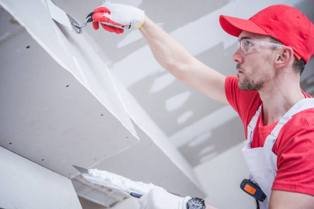 Best Forensic Mold Investigation  in Double Springs, AL