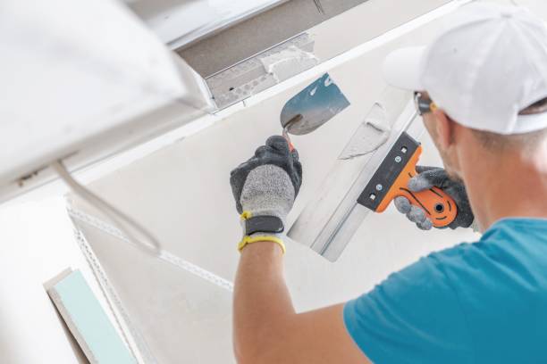  Double Springs, AL Mold Removal Pros